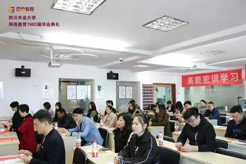 网络教育本科有用吗？网络远程教育学历含金量高吗？没有学历学什么好