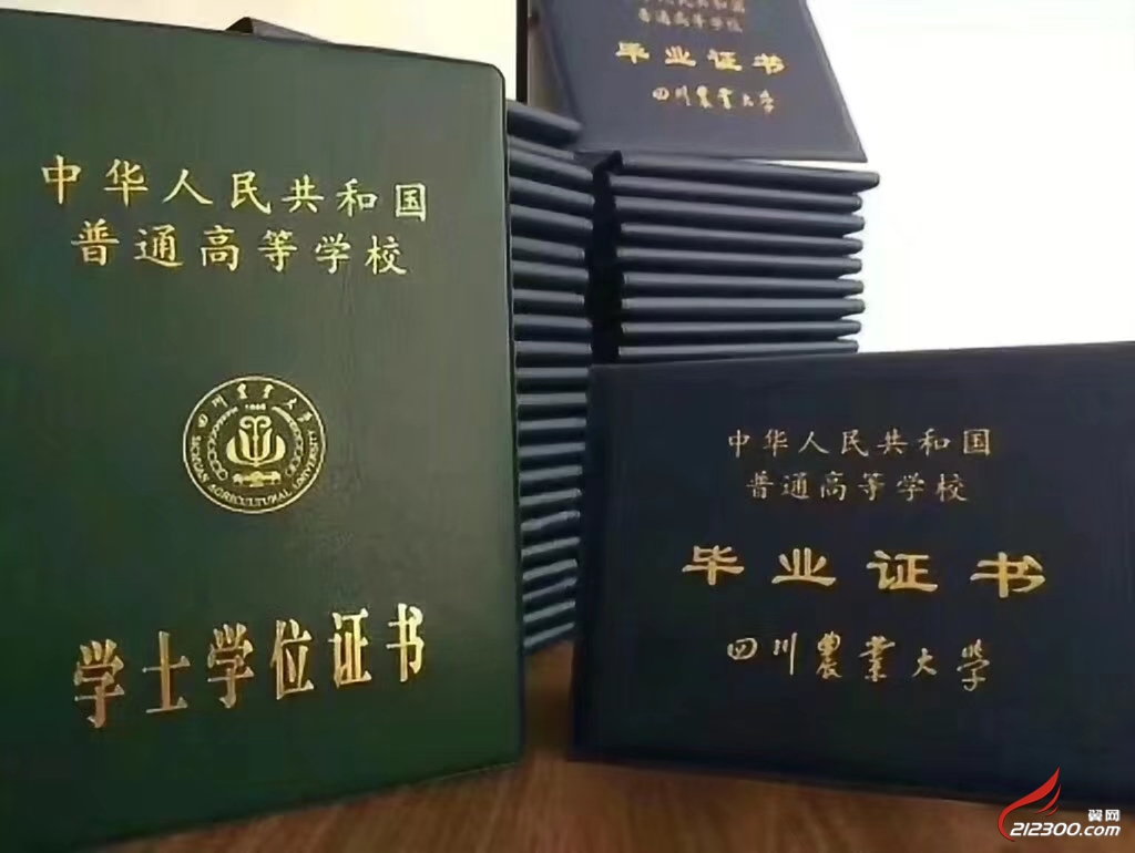 mmexport1516841915689.jpg